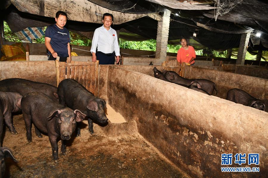 (新華全媒頭條·決戰決勝脫貧攻堅·督戰未摘帽貧困縣·圖文互動)(9)把“最能打的人”放在最需要的地方——聚焦貴州未脫貧縣里的“助攻干部”