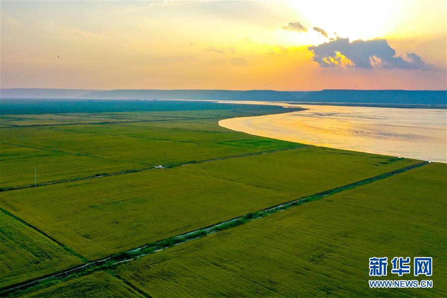 (新華全媒頭條·圖文互動(dòng))(4)天道酬勤的大地贊歌——寫在第三個(gè)中國(guó)農(nóng)民豐收節(jié)之際