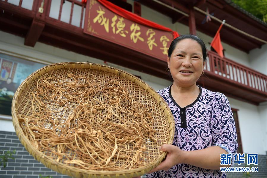 (新華全媒頭條·走向我們的小康生活·圖文互動)(4)神山村“神奇”何在?——井岡山深處覓答案