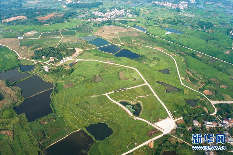 (新華全媒頭條·走向我們的小康生活·圖文互動)(1)特殊之年,荊楚大地書寫不平凡的答卷