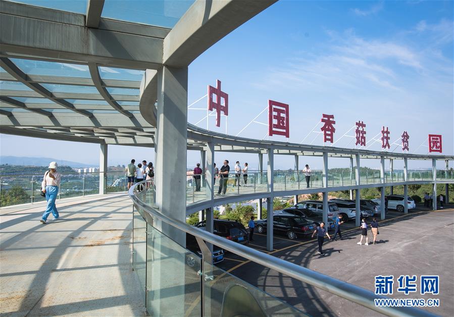 (新華全媒頭條·走向我們的小康生活·圖文互動)(2)特殊之年,荊楚大地書寫不平凡的答卷