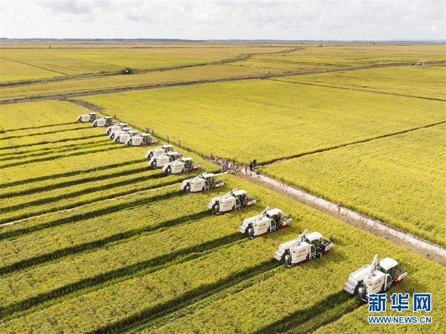 (新華全媒頭條·圖文互動)(15)奮斗結碩果,再寫新篇章——寫在共和國71周年華誕之際