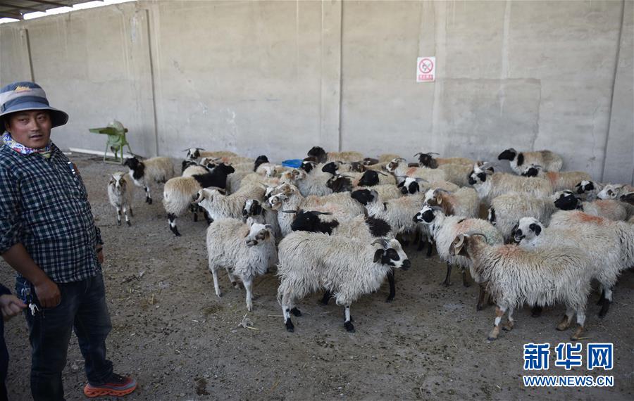 （集中連片特困地區貧困村調研行&middot;圖文互動）（4）長江源村人的兩個家和幸福夢&mdash;&mdash;青海格爾木市長江源村脫貧調查