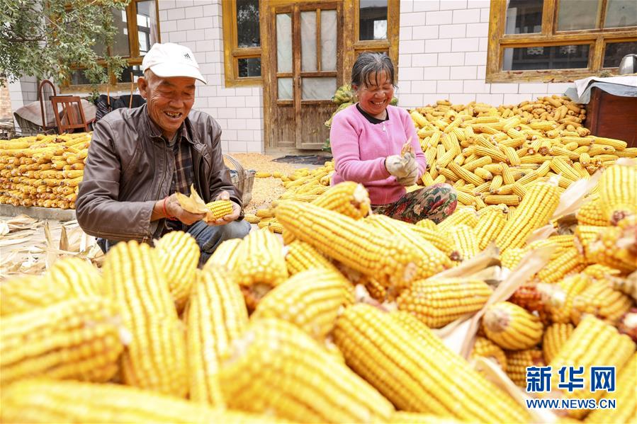 (全面建成小康社會“百城千縣萬村調研行”·圖文互動)(4)寧夏華寺村:做活“土”文章 村民享小康