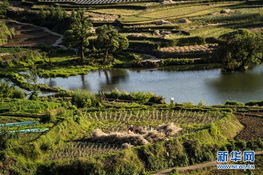 （集中連片特困地區貧困村調研行&middot;圖文互動）（4）阿佤人民再唱新歌&mdash;&mdash;云南騰沖市三家村中寨司莫拉佤族村脫貧調查