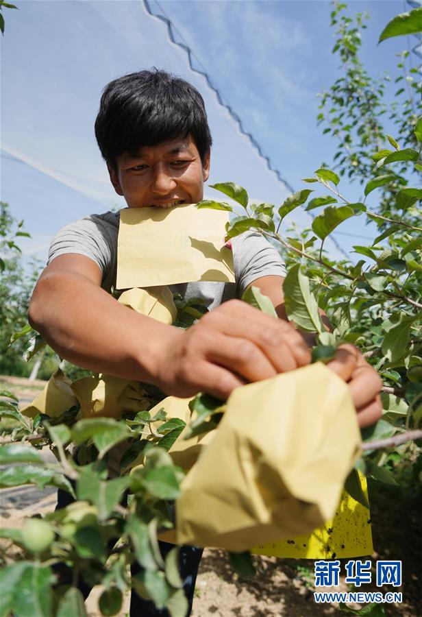 （習近平的小康故事&middot;圖文互動）（2）&ldquo;我很期盼的一件事，就是讓鄉親們飽餐一頓肉&rdquo;&mdash;&mdash;習近平和脫貧攻堅的故事