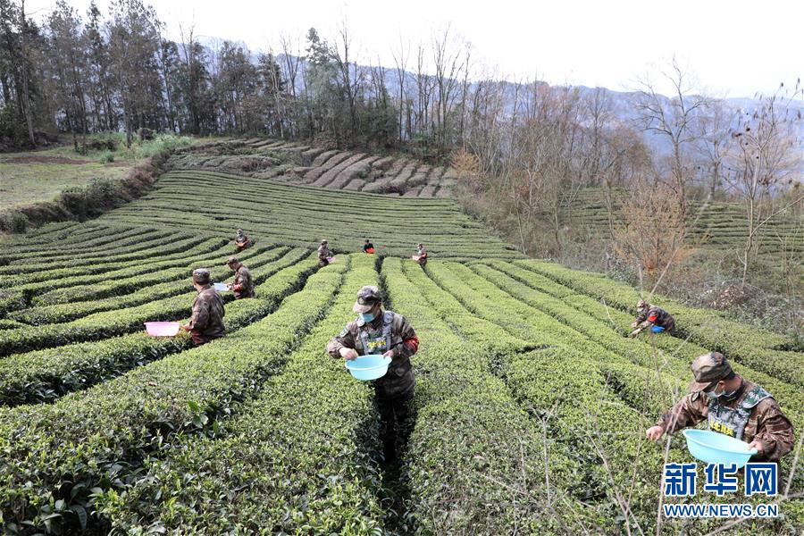 (圖文互動(dòng))(2)百舸爭流千帆競——“十三五”期間國防動(dòng)員事業(yè)取得歷史性突破