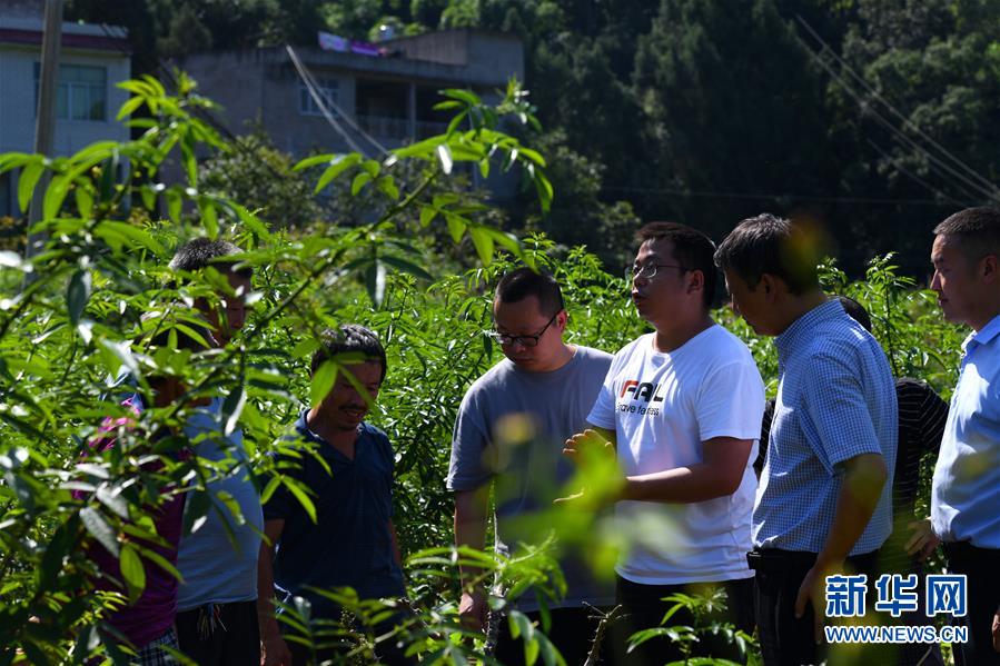 (決戰決勝脫貧攻堅·圖文互動)(3)“堵槍眼”的脫貧戰怎么打?——繼光村見聞