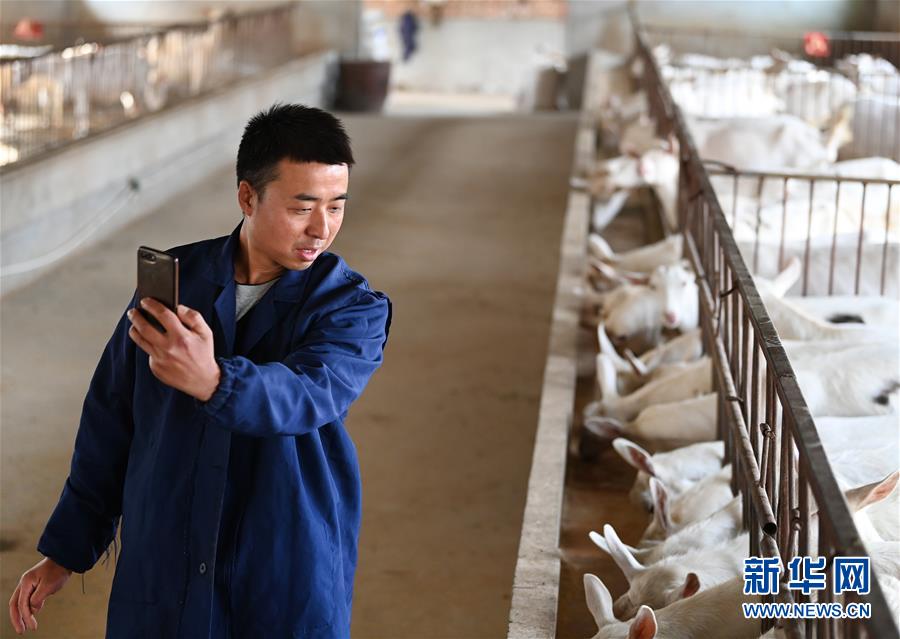 （五中全會精神在基層&middot;圖文互動）（2）大學生&ldquo;羊倌&rdquo;成了致富&ldquo;領頭羊&rdquo;