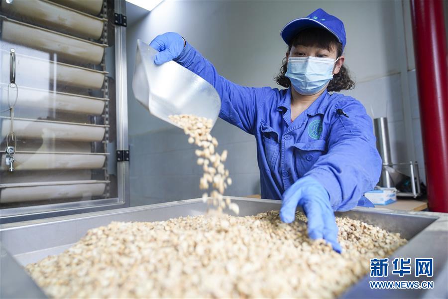 （決戰(zhàn)決勝脫貧攻堅(jiān)&middot;圖文互動(dòng)）（2）重慶三峽庫(kù)區(qū)從&ldquo;中華藥庫(kù)&rdquo;里探尋脫貧致富&ldquo;良方&rdquo;