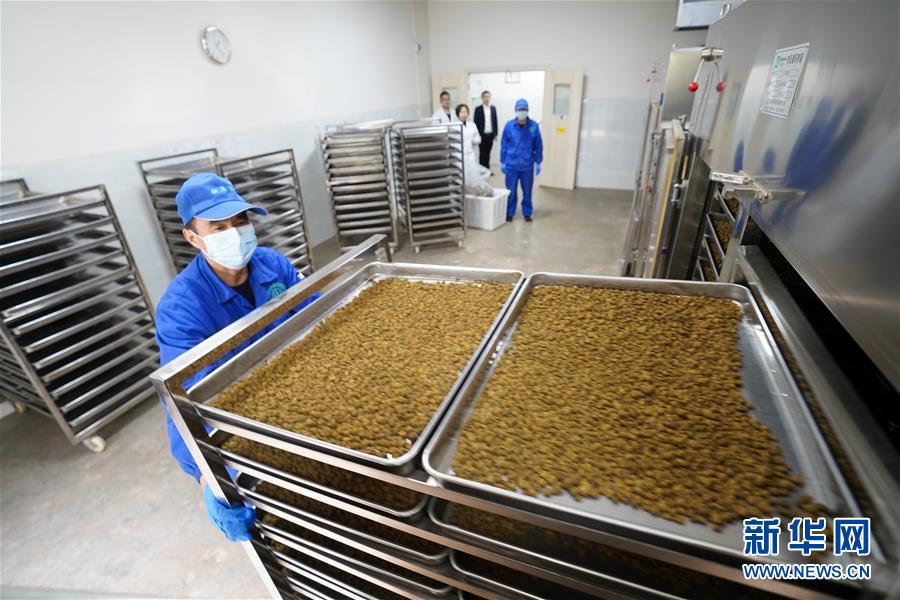 （決戰(zhàn)決勝脫貧攻堅(jiān)&middot;圖文互動(dòng)）（3）重慶三峽庫(kù)區(qū)從&ldquo;中華藥庫(kù)&rdquo;里探尋脫貧致富&ldquo;良方&rdquo;