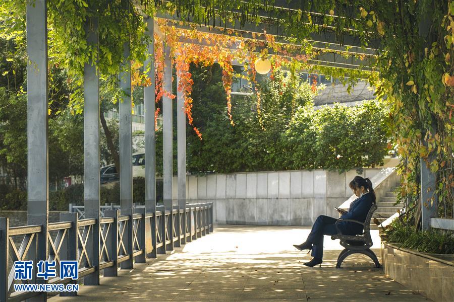 (全面建成小康社會“百城千縣萬村調研行”·圖文互動)(2)武漢:從“見縫插樓”到“見縫播綠”