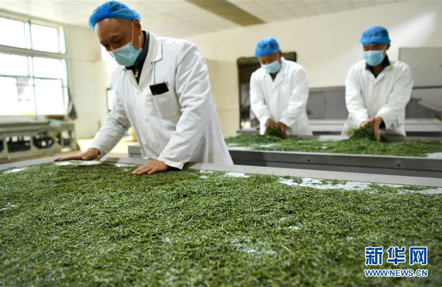 (新華全媒頭條·圖文互動)(22)從人民中汲取磅礴力量——習近平總書記同出席2020年全國兩會人大代表、政協委員共商國是紀實