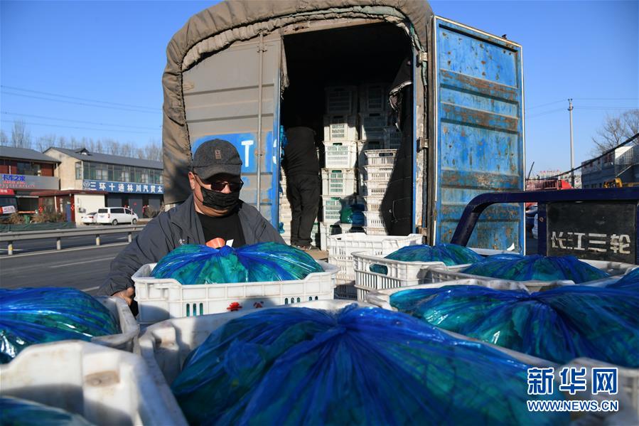 (在習近平新時代中國特色社會主義思想指引下——新時代新作為新篇章·習近平總書記關(guān)切事·圖文互動)(3)抗疫之下 保供無憂