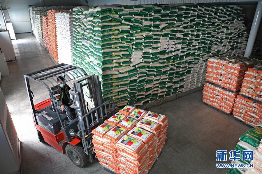 (在習(xí)近平新時(shí)代中國(guó)特色社會(huì)主義思想指引下——新時(shí)代新作為新篇章·習(xí)近平總書記關(guān)切事·圖文互動(dòng))(9)春耕忙 信心足——谷雨時(shí)節(jié)走馬東北直擊糧事