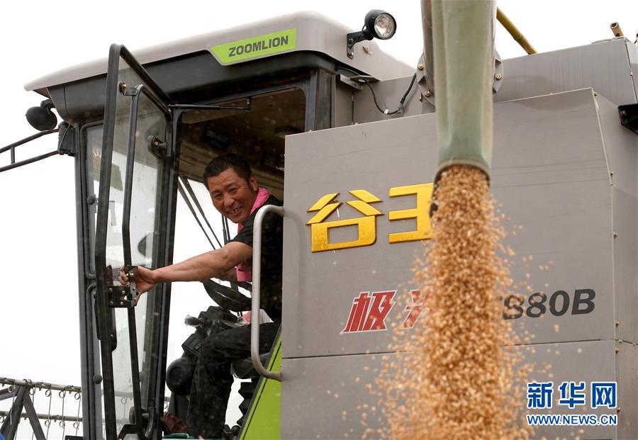 （在習(xí)近平新時(shí)代中國特色社會(huì)主義思想指引下&mdash;&mdash;新時(shí)代新作為新篇章&middot;習(xí)近平總書記關(guān)切事&middot;圖文互動(dòng)）（3）食為政首&mdash;&mdash;穩(wěn)住農(nóng)業(yè)基本盤增添發(fā)展底氣