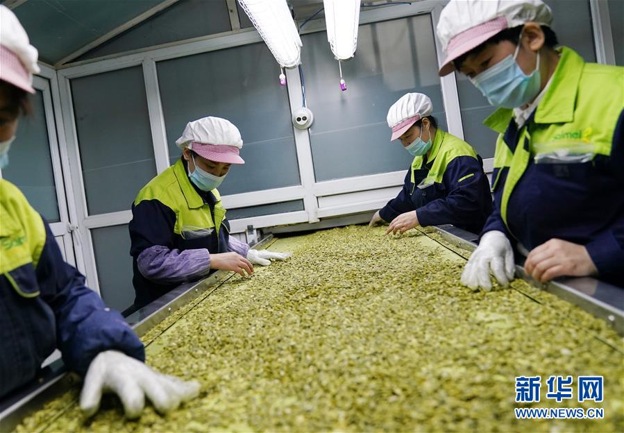 (在習(xí)近平新時代中國特色社會主義思想指引下——新時代新作為新篇章·習(xí)近平總書記關(guān)切事·圖文互動)(5)激發(fā)每個經(jīng)濟“細胞”的活力——千方百計把市場主體保護好