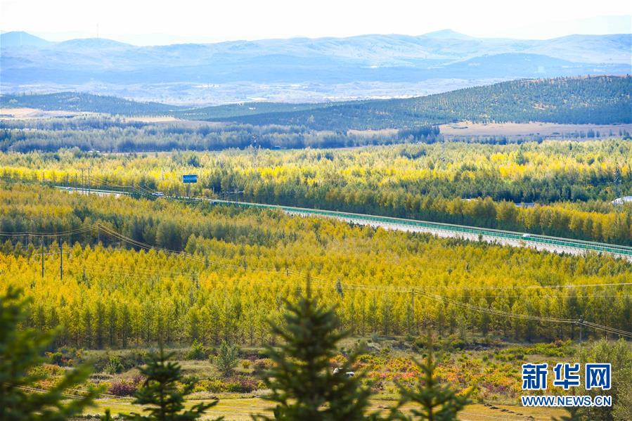 (在習近平新時代中國特色社會主義思想指引下——新時代新作為新篇章·習近平總書記關切事·圖文互動)(7)綠意,在黃沙中鋪展——我國防沙治沙紀實