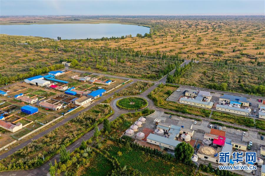 (在習近平新時代中國特色社會主義思想指引下——新時代新作為新篇章·習近平總書記關切事·圖文互動)(12)綠意,在黃沙中鋪展——我國防沙治沙紀實