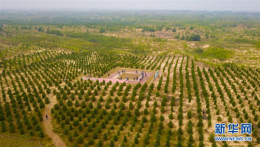 (在習近平新時代中國特色社會主義思想指引下——新時代新作為新篇章·習近平總書記關切事·圖文互動)(2)綠意,在黃沙中鋪展——我國防沙治沙紀實