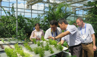 多國專家齊聚新疆共謀絲路新發展