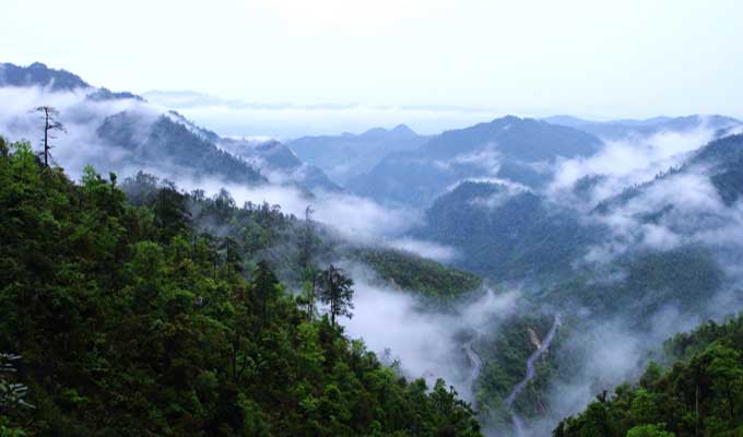 廣東乳源、廣東乳陽林場、云南華寧葫蘆口電站