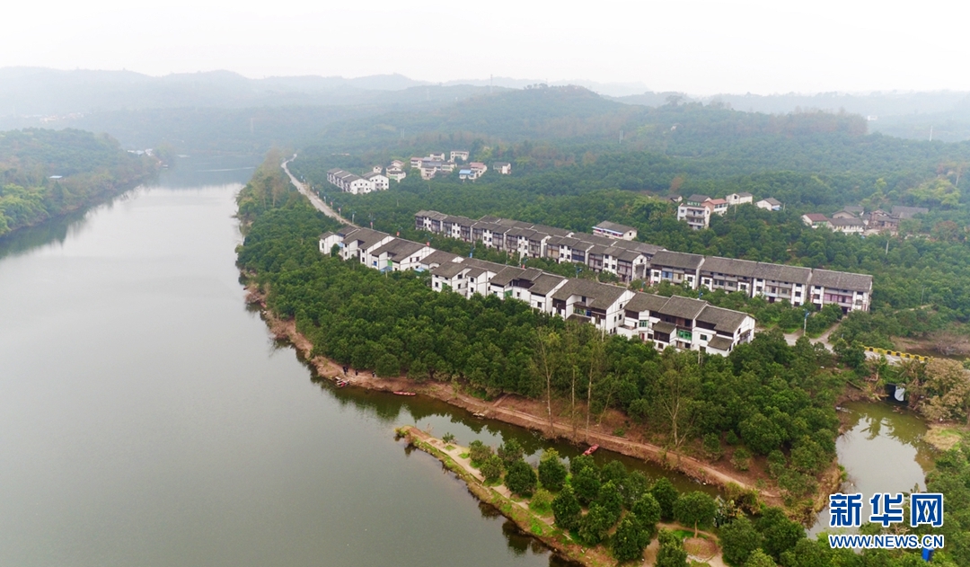 航拍重慶鄰封鎮 百年柚鄉換&ldquo;新顏&rdquo;