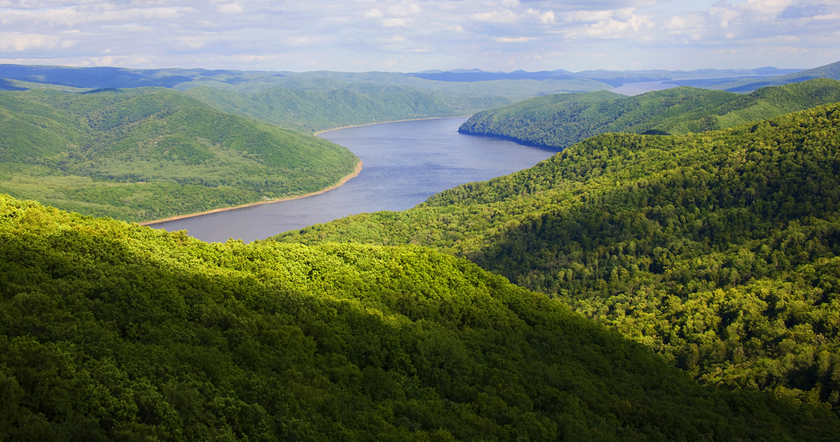 張建龍：&ldquo;三北工程&rdquo;實現生態、經濟、社會效益&ldquo;多贏&rdquo;