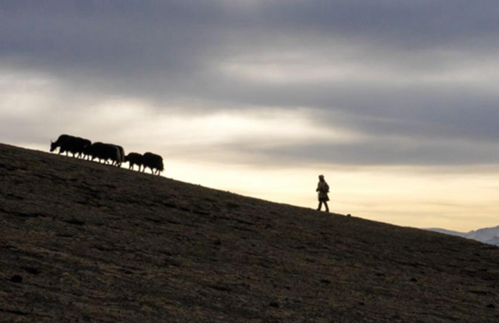 幸福來敲門丨普次仁的&ldquo;新牧場&rdquo;