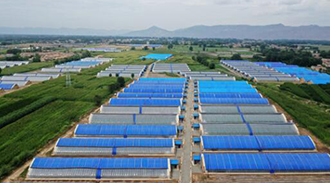 甘肅臨夏:產業幫扶助搬遷群眾安居樂業