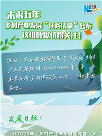 未來五年鄉(xiāng)村產業(yè)發(fā)展&ldquo;任務清單&rdquo;公布 這組數據值得關注！