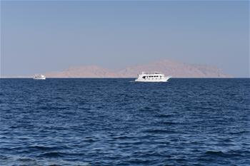 埃及總統批準向沙特&ldquo;還島&rdquo;協議