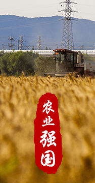 農(nóng)業(yè)強(qiáng)國是社會主義現(xiàn)代化強(qiáng)國的根基。