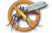 夏季，常見蚊蟲如何應(yīng)對