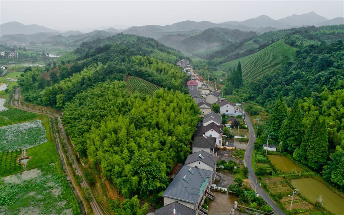 從2003年起，浙江省開展了&ldquo;千村示范、萬(wàn)村整治&rdquo;工程