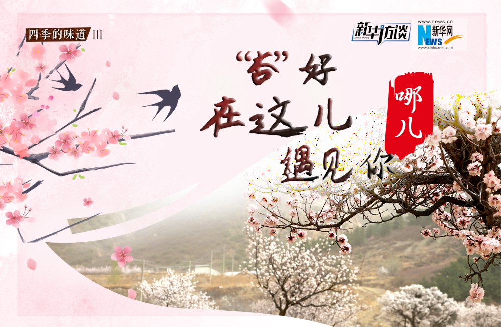 哪兒？&ldquo;杏&rdquo;好在這兒遇見你！