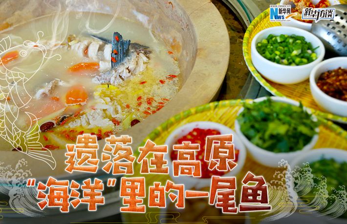 遺落在高原&ldquo;海洋&rdquo;里的一尾魚