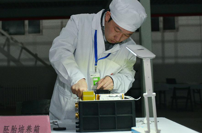 實踐十號科學實驗載荷及樣品狀態完好