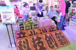 惠民項目農科城