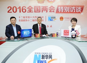 胡云騰、王建業做客新華網