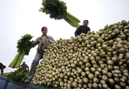 劉永富：發展產業脫貧仍是精準扶貧、精準脫貧主攻方向