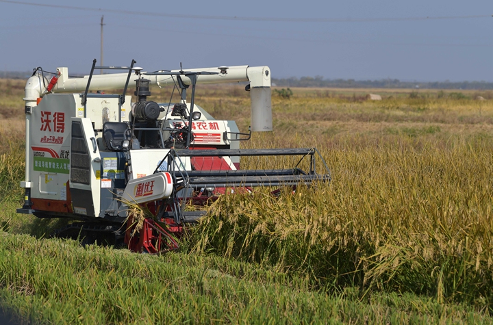 新華社評論員:穩固耕地基本盤，打好種業翻身仗