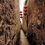 弄&mdash;&mdash;石皮弄