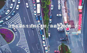 在浦東生活的小美好 你最想遇見哪一個？