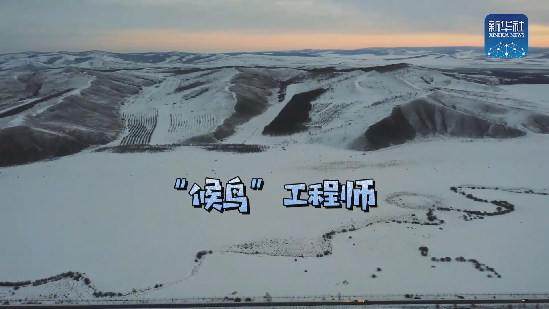 我們?cè)诒寂茇宦废虮保∷悄嫘械?ldquo;候鳥&rdquo;