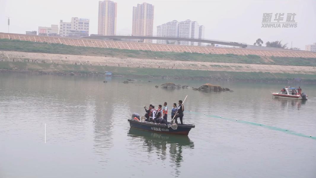 緊急救援&ldquo;誤闖&rdquo;內水中華白海豚