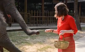 勐巴拉娜西！&ldquo;洋記者&rdquo;帶你游西雙版納