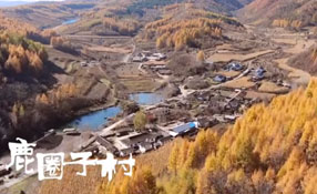 探秘關(guān)東人家，畫一個童話里的秋天