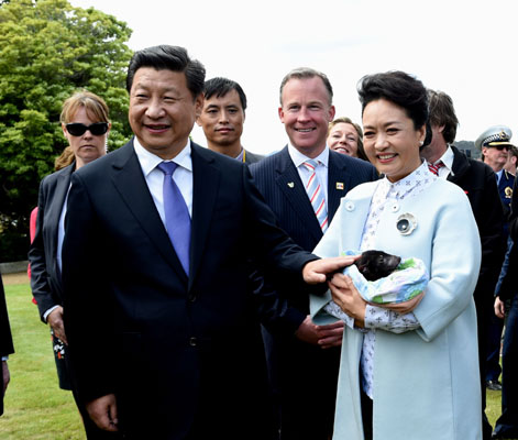 11月18日，國家主席習近平在澳大利亞塔斯馬尼亞州與朗塞斯頓市斯科奇－歐克伯恩小學的小學生共同植樹。這是習近平和夫人彭麗媛植樹后撫摸袋獾。新華社記者 饒愛民 攝