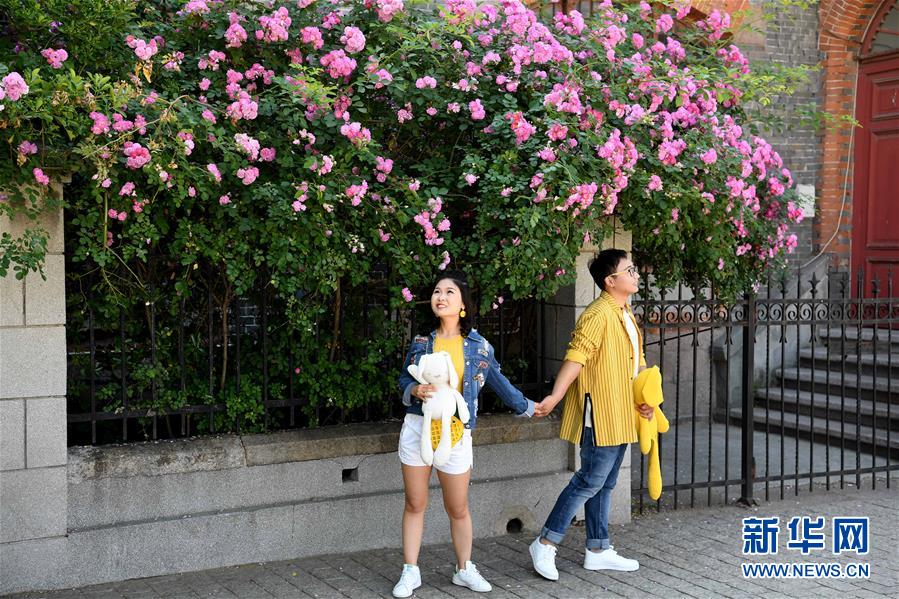 （上合青島峰會(huì)）（8）青島：花滿(mǎn)島城待賓朋